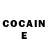 COCAIN Fish Scale Bark XxX