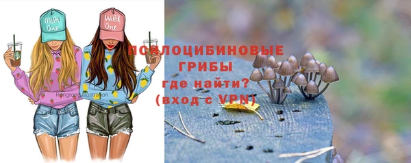 соль курить ск Алексин