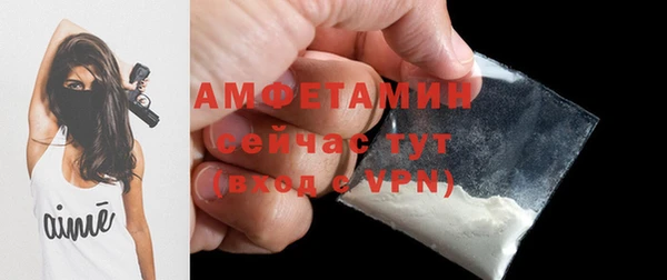стаф Абаза