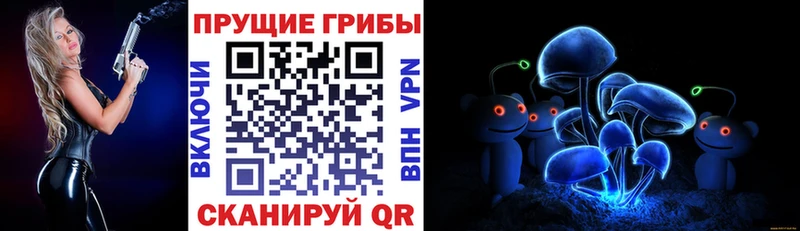 Псилоцибиновые грибы MAGIC MUSHROOMS  blacksprut как зайти  Анапа  цена наркотик 