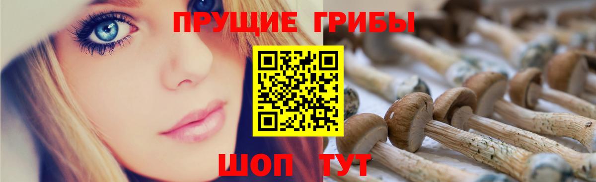 Галлюциногенные грибы Psilocybine cubensis Анапа